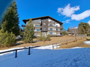 Damiez (371 Br)